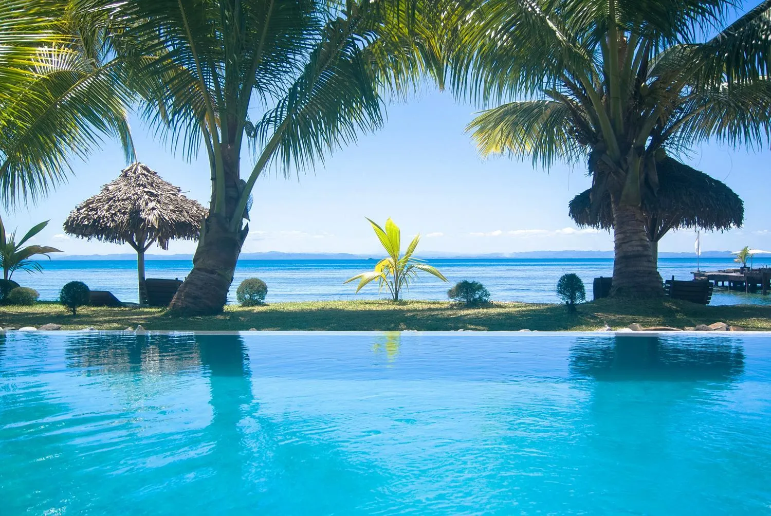 Une piscine à débordement offre une vue sur la mer et les palmiers.