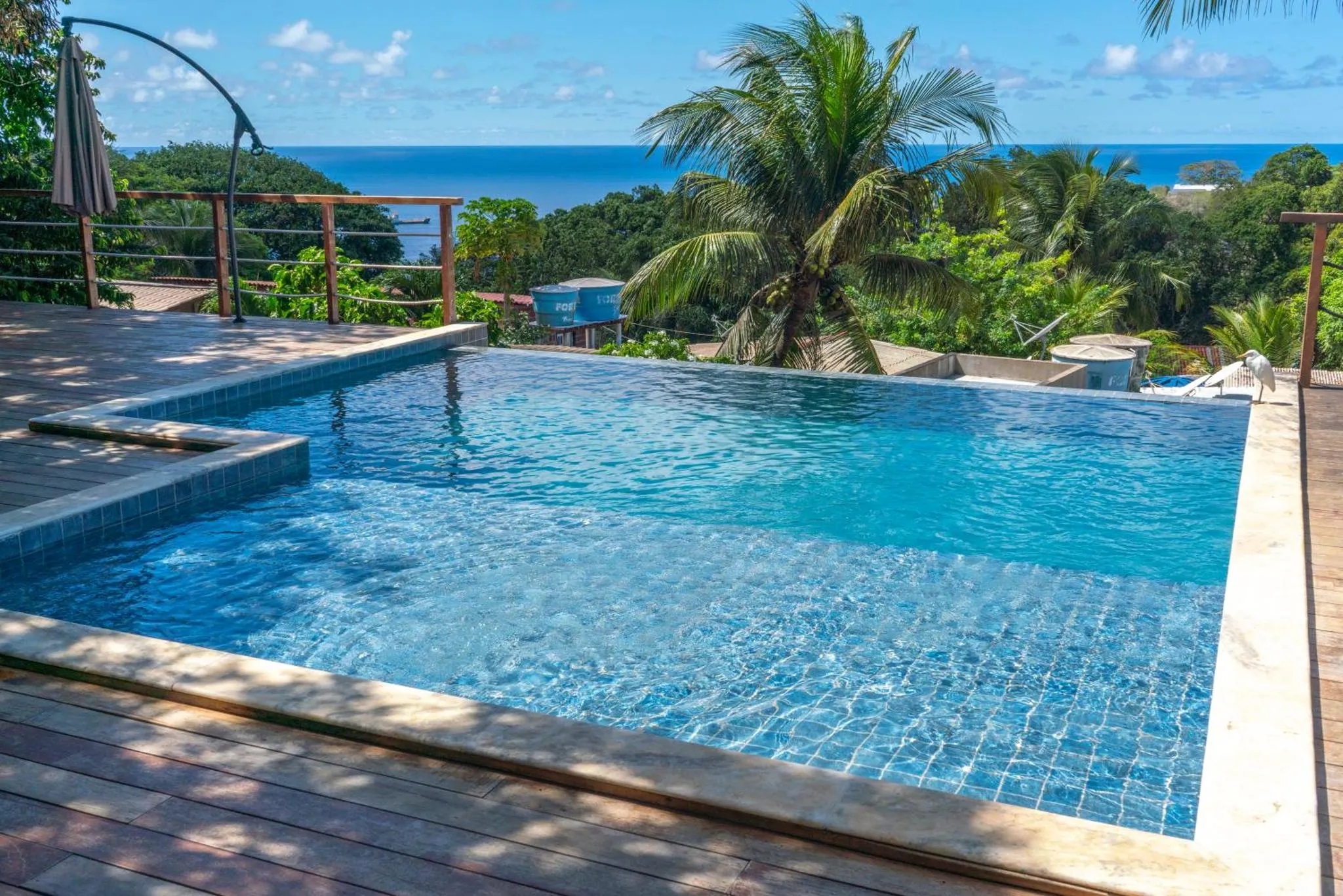 Une piscine à débordement avec une vue sur la mer et la végétation.