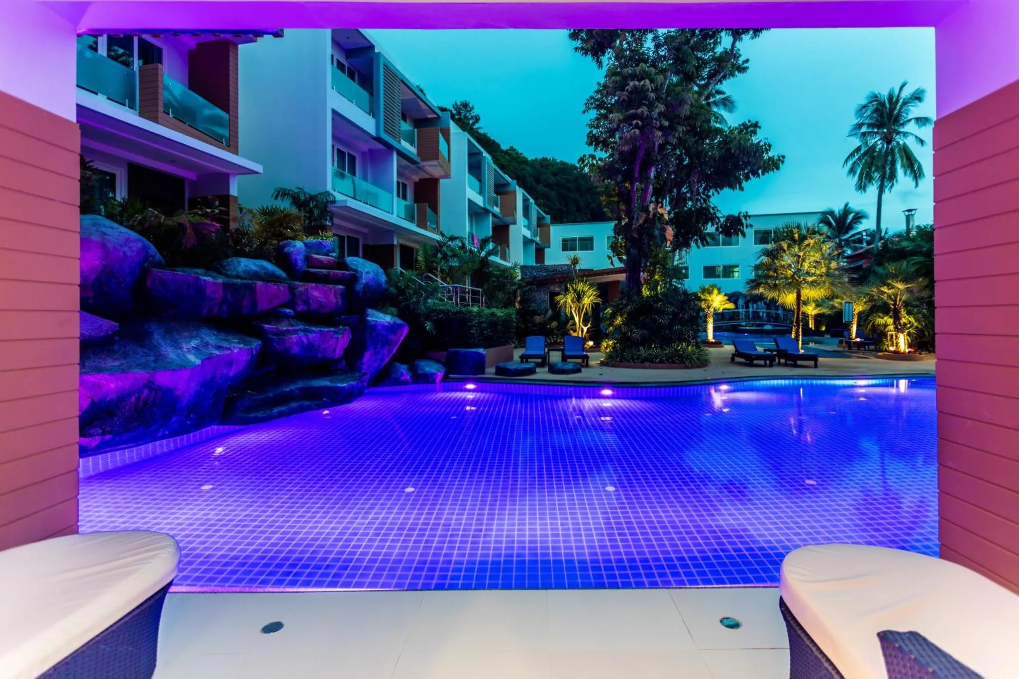 Piscine illuminée avec transats et végétation luxuriante en arrière-plan.
