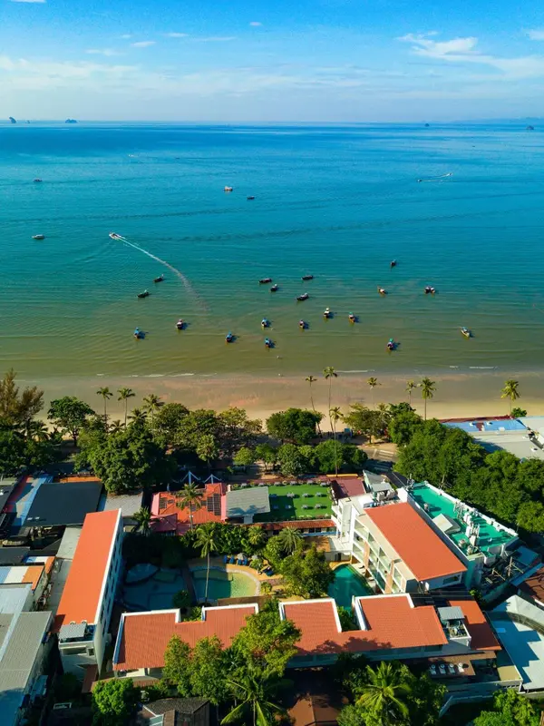 Vue aérienne d'une plage bordée de palmiers et d'un complexe hôtelier.