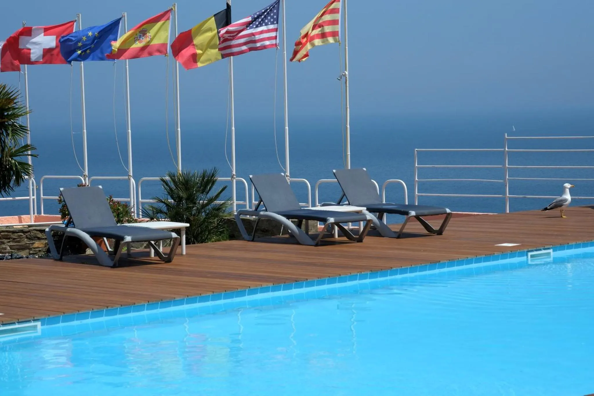 Transats alignés au bord d'une piscine avec vue sur la mer et des drapeaux flottant au vent.