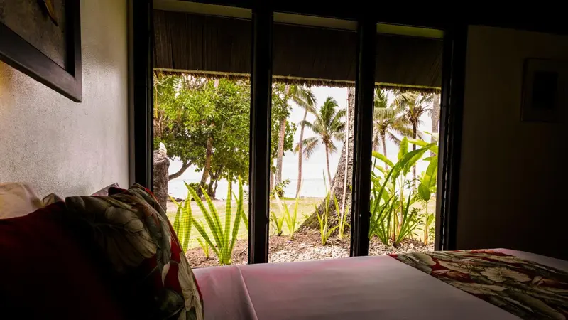 Vue sur une végétation luxuriante depuis une chambre.