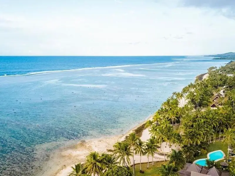 Vue aérienne d'une plage bordée de palmiers et d'une mer turquoise.