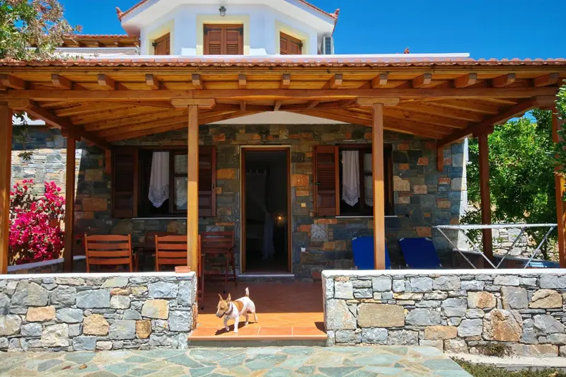 Façade d'une maison en pierre avec une terrasse ombragée et un chien.