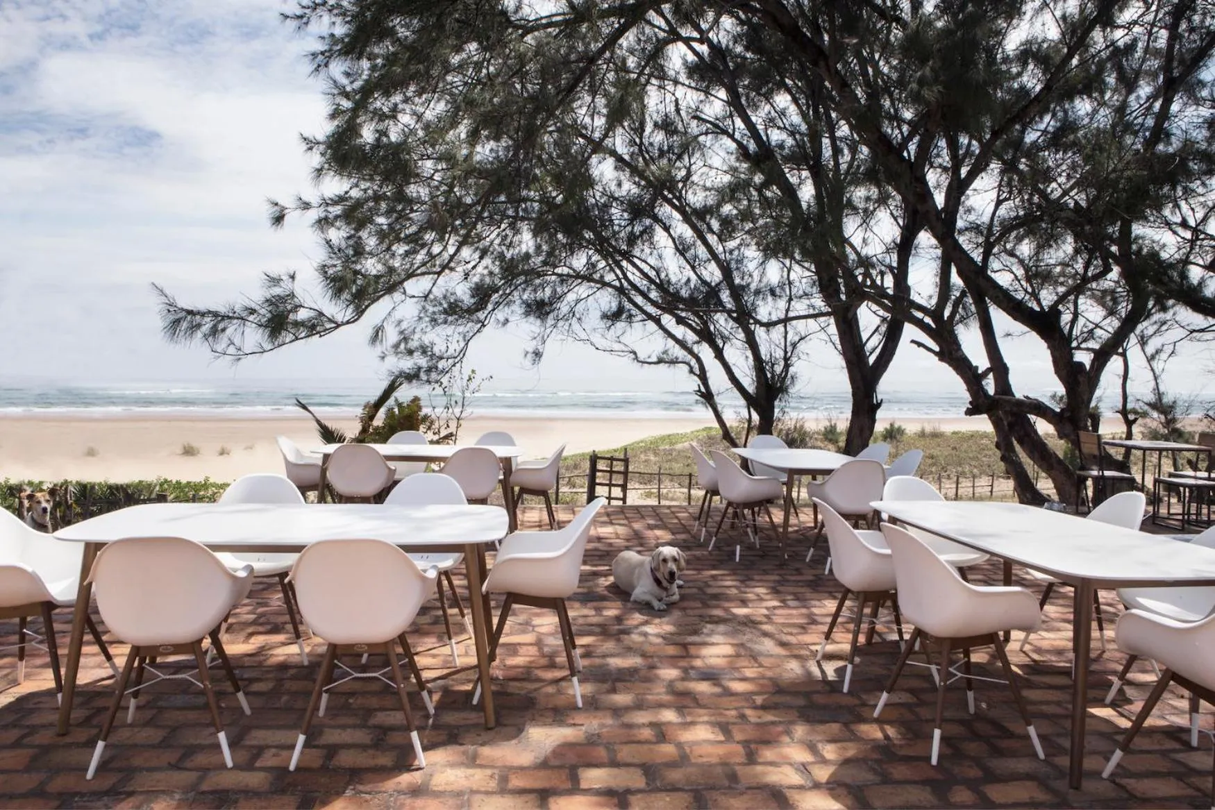 Terrasse de restaurant avec tables et chaises en bord de mer.