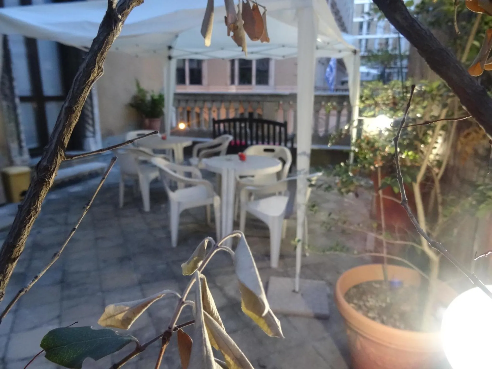 Terrasse ombragée avec tables et chaises en plastique.