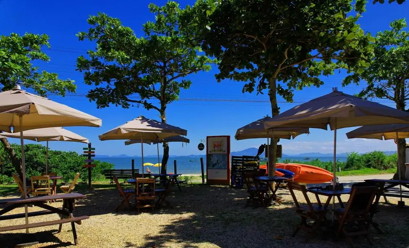 Terrasse ombragée avec tables et parasols en bord de mer.