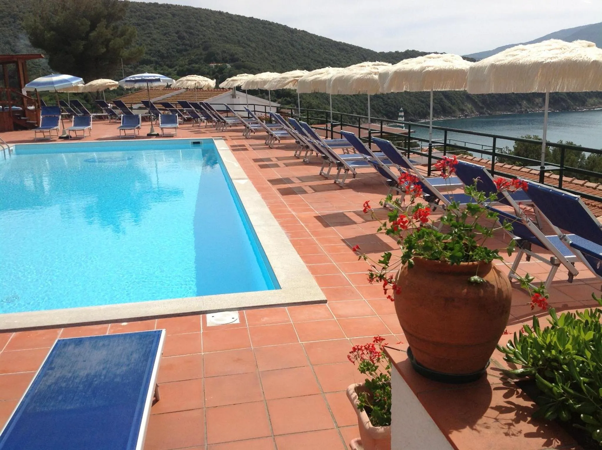 Terrasse avec piscine et transats en bord de mer.