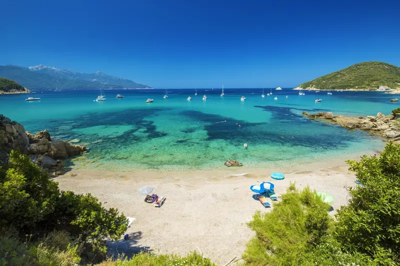Une plage de sable fin bordée d'une eau turquoise et de végétation luxuriante.