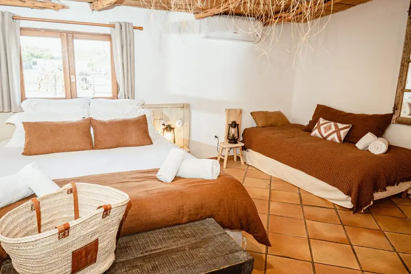 Chambre lumineuse avec deux lits et décoration naturelle.