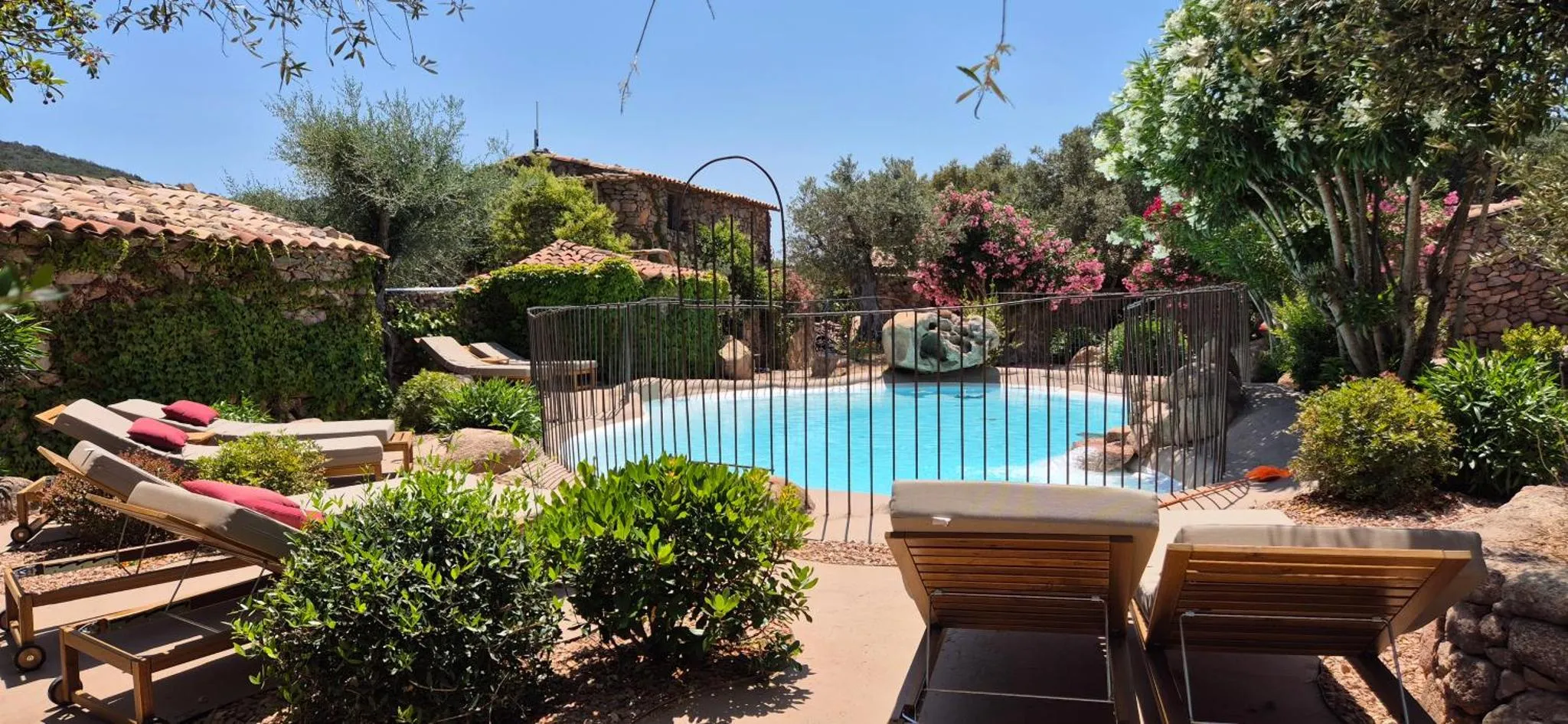 Transats et piscine ensoleillés dans un jardin verdoyant.