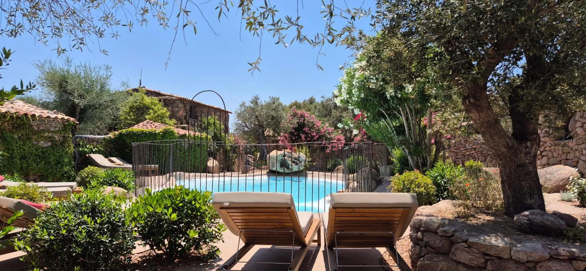 Transats et piscine au milieu d'une végétation luxuriante.