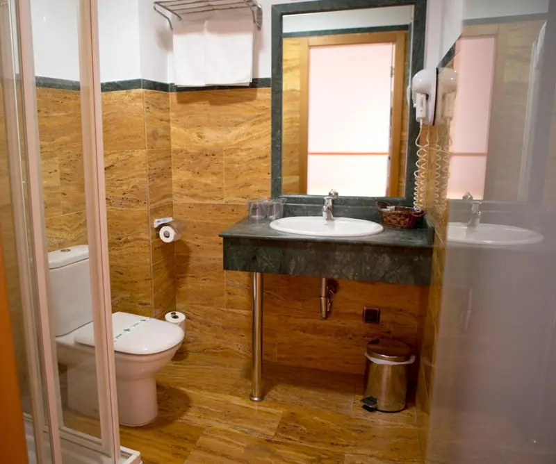 Une salle de bain avec douche, lavabo et toilettes.