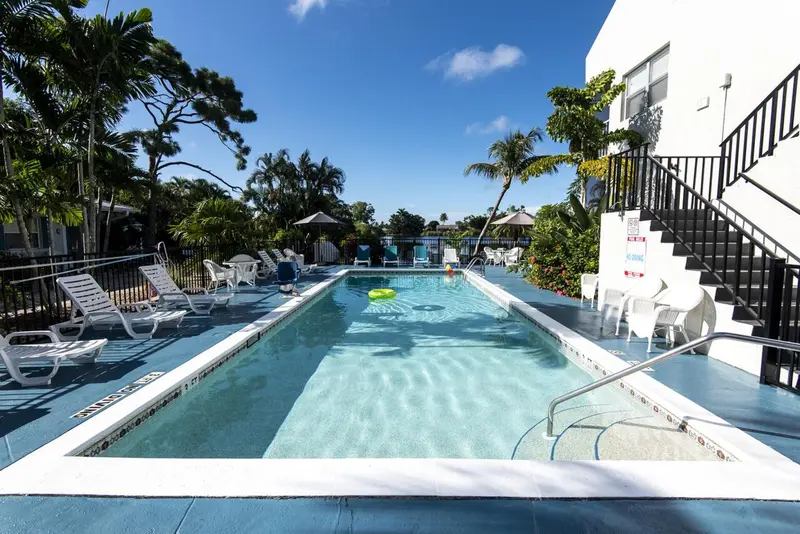 Une piscine rectangulaire bordée de chaises longues et de végétation tropicale.