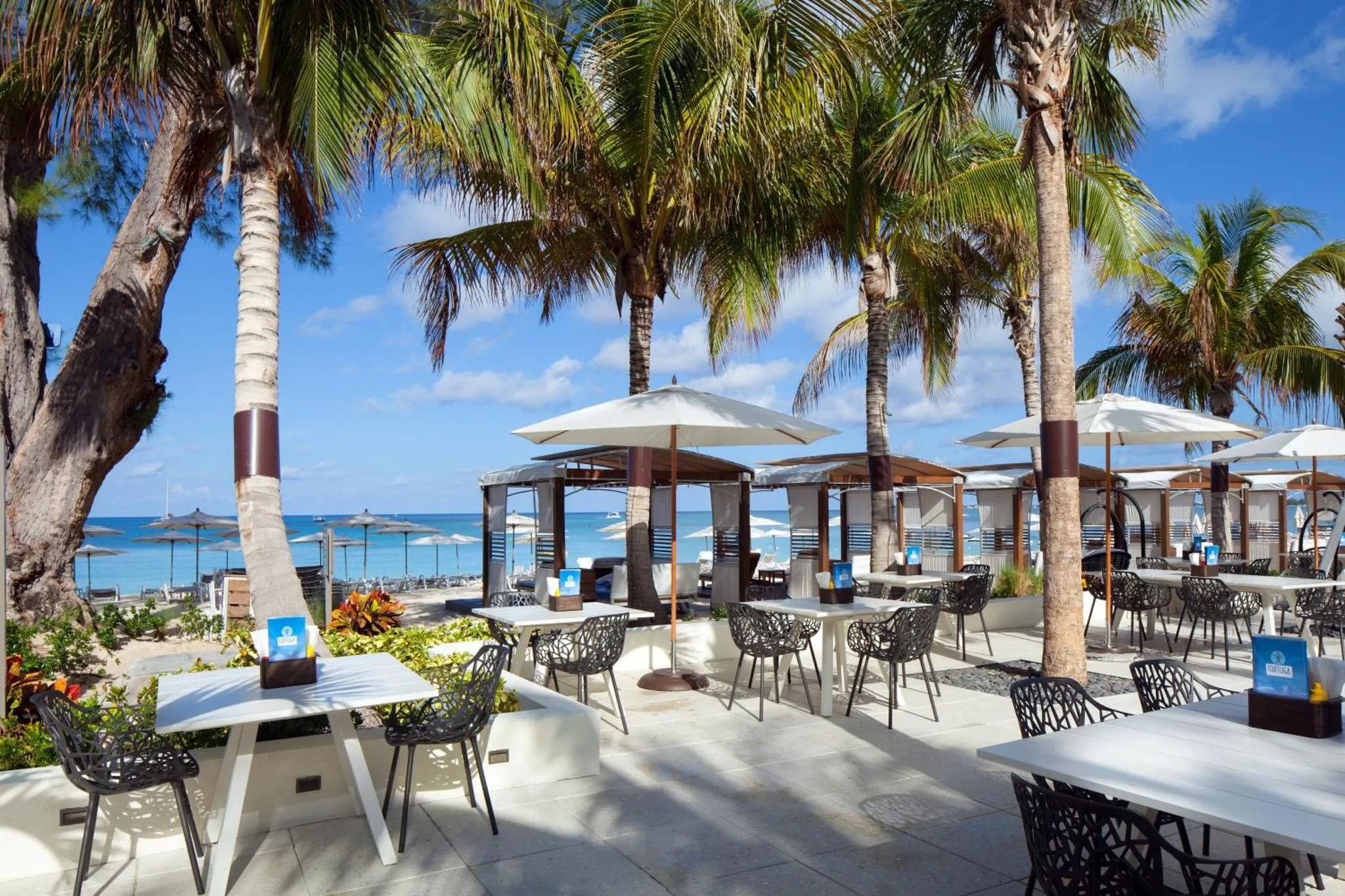 Terrasse ombragée avec tables et chaises en bord de mer.
