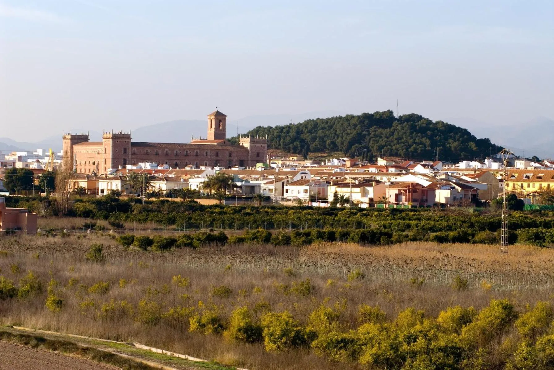 Vue d'ensemble d'une ville côtière avec des bâtiments aux toits rouges et une colline verdoyante en arrière-plan.
