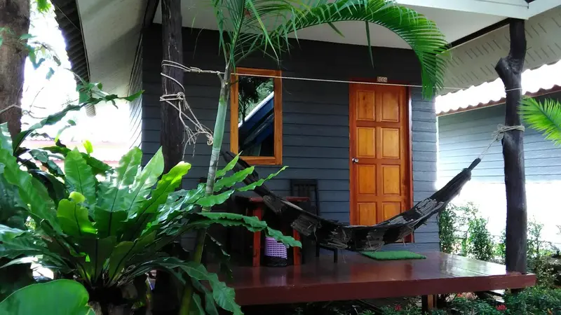Petite maison en bois avec une terrasse et un hamac.