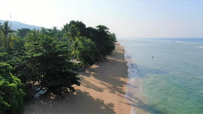 Vue aérienne d'une plage de sable bordée de végétation luxuriante et d'une mer turquoise.
