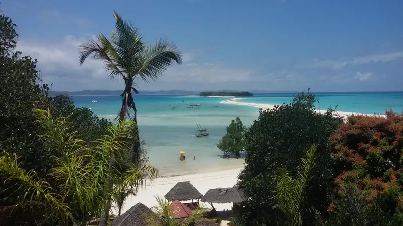 Vue aérienne d'une plage de sable blanc bordée de palmiers et d'une mer turquoise.