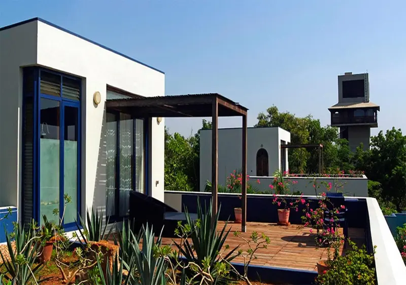 Terrasse ensoleillée avec végétation et architecture moderne.