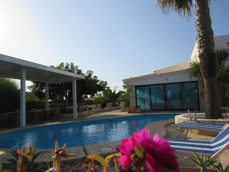 Une piscine bleue bordée d'une terrasse ensoleillée avec des transats et des fleurs.