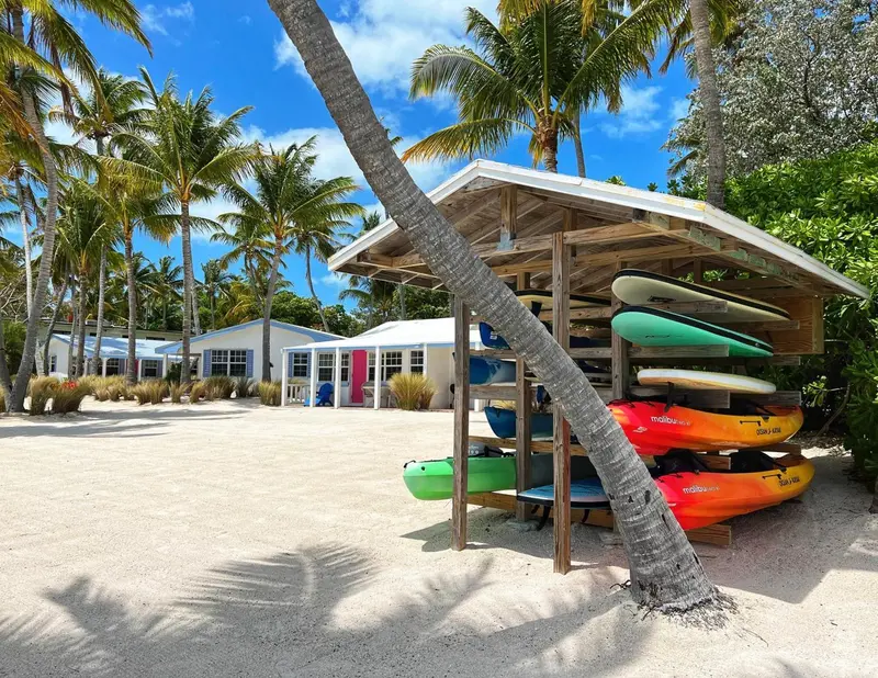 Abri de plage ombragé avec des kayaks et des planches de paddle sur le sable.