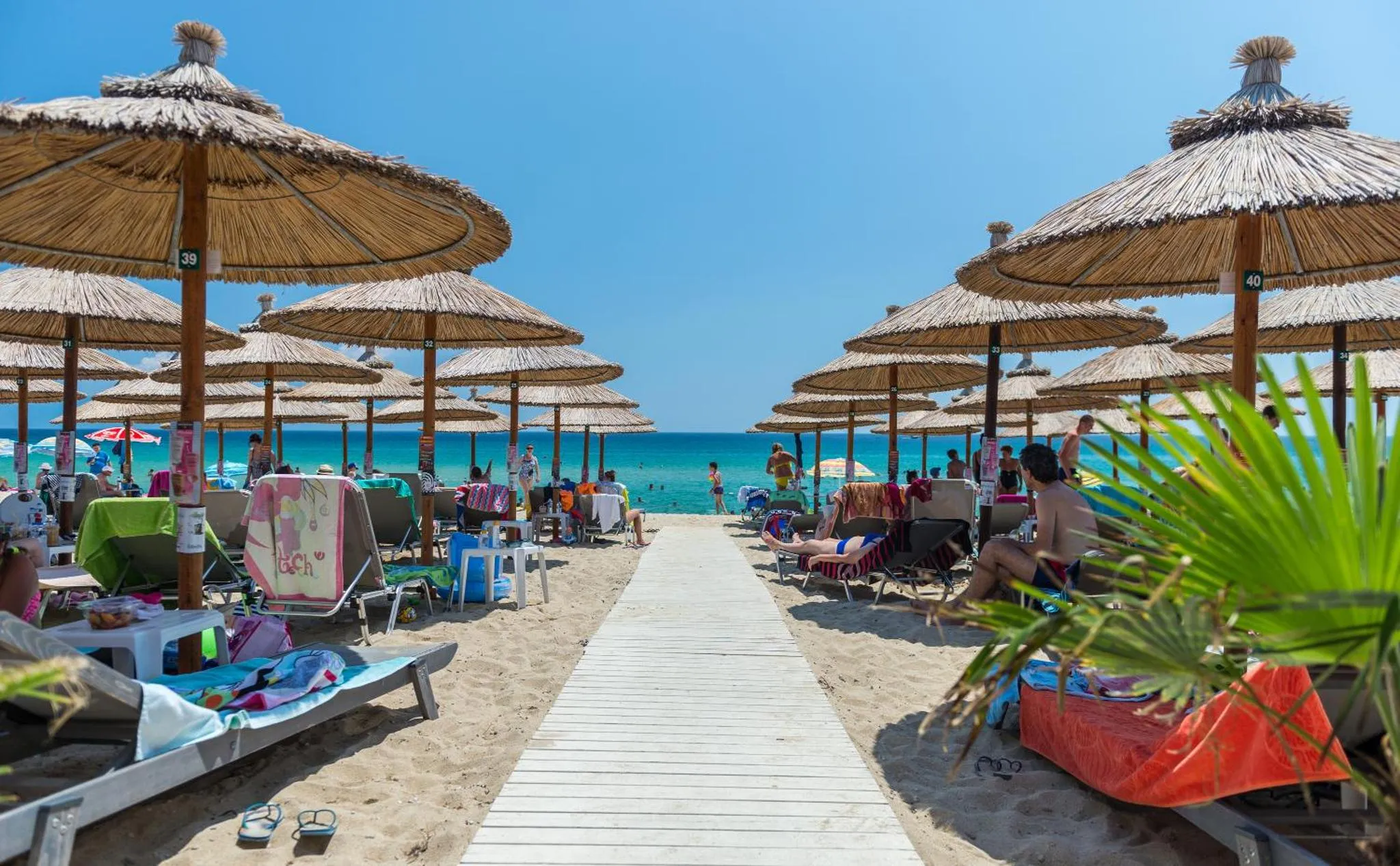 Plage de sable fin avec parasols en chaume et transats alignés face à la mer.