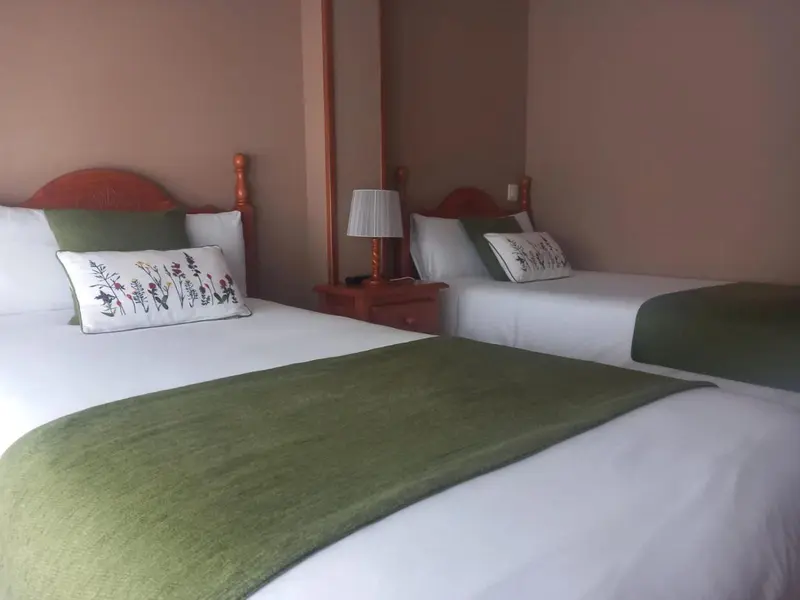 Deux lits simples avec oreillers et couvertures dans une chambre.