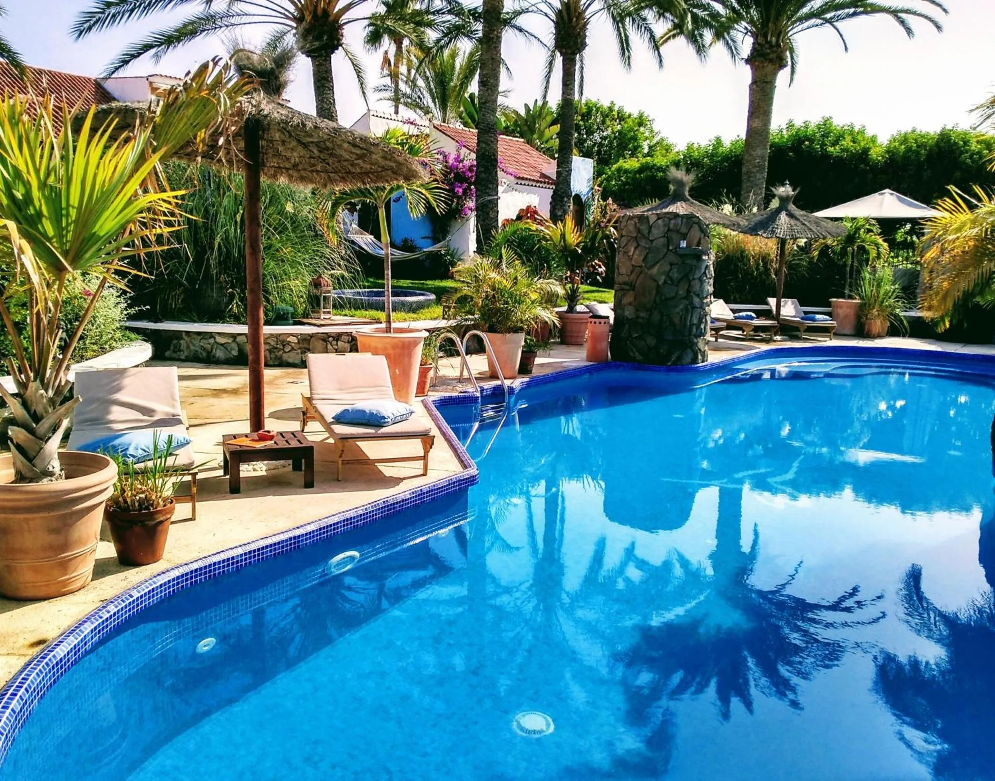 Transats et végétation luxuriante bordent une piscine bleu azur.