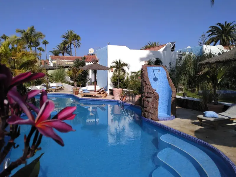 Une piscine turquoise reflète le ciel bleu et les palmiers environnants.