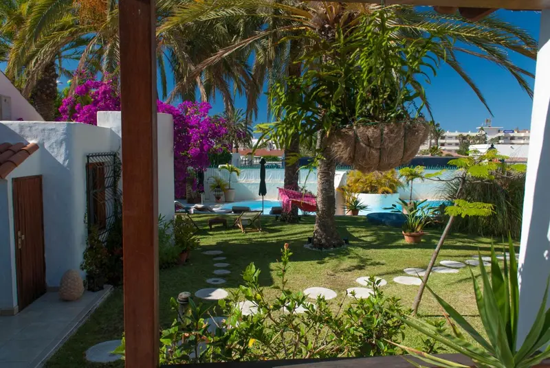 Jardin verdoyant avec palmiers et fleurs colorées près d'une piscine.
