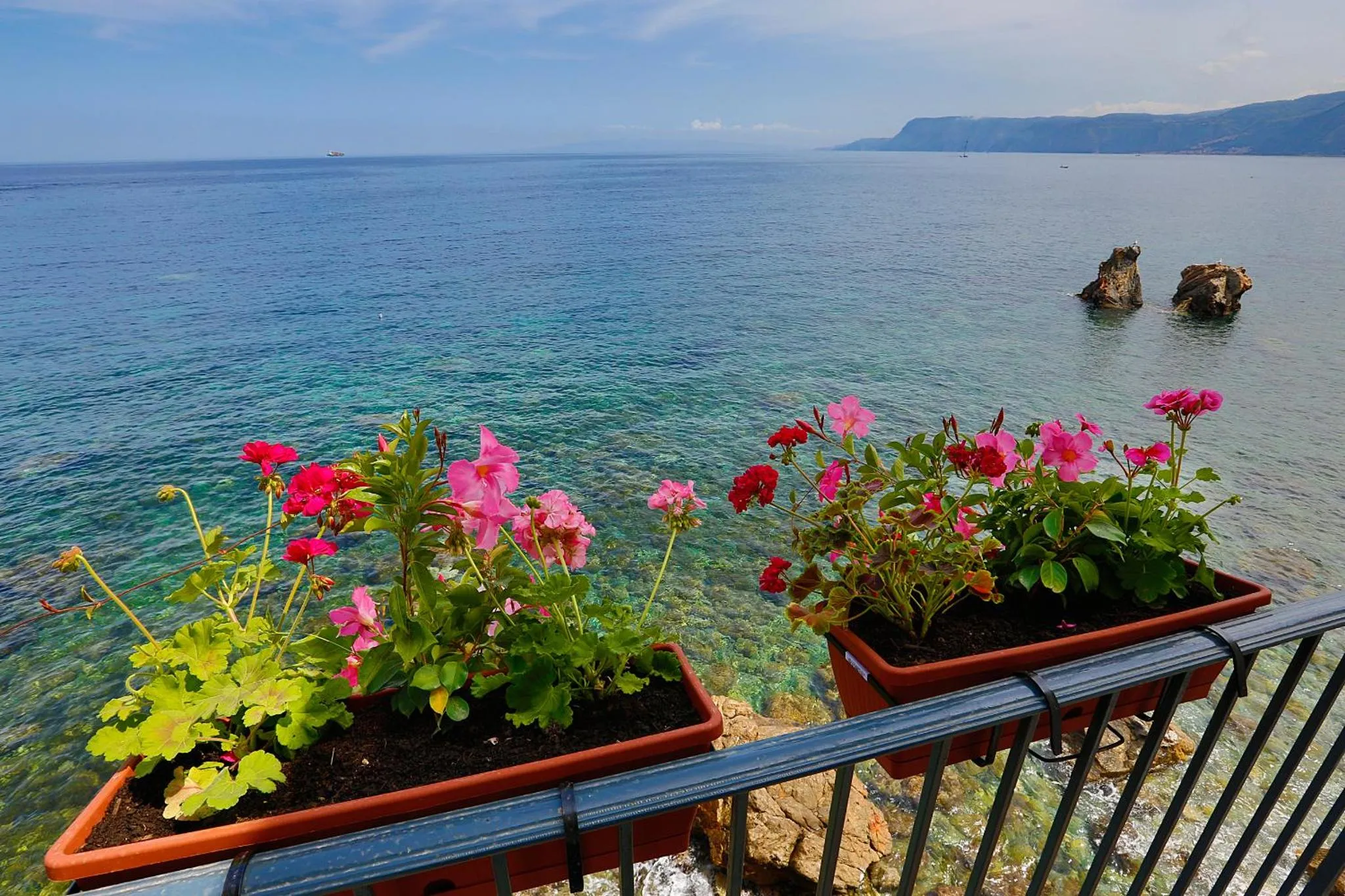 Fleurs colorées en pots sur une balustrade surplombant la mer.