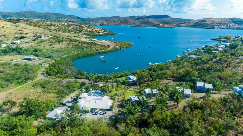 Vue aérienne d'une baie bordée de bâtiments et de végétation luxuriante.