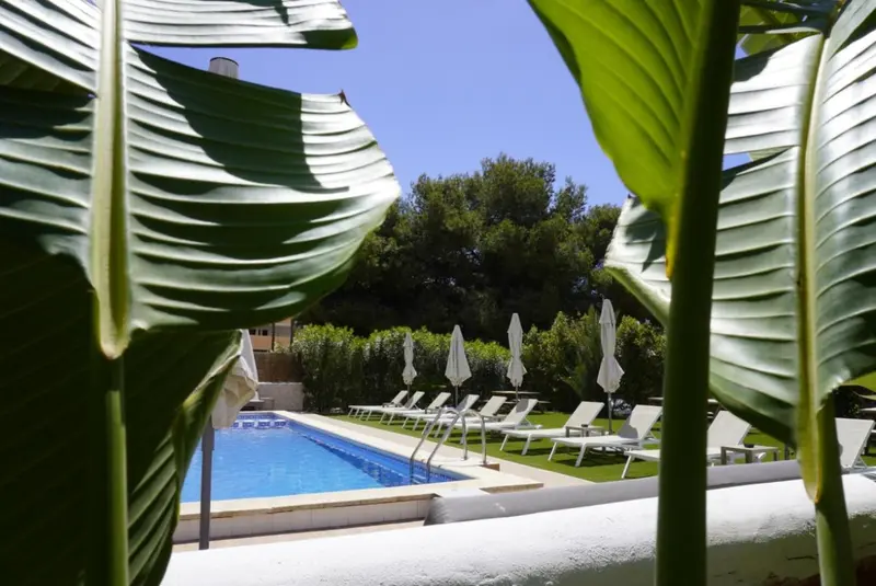 Une piscine bordée de chaises longues au milieu d'une végétation luxuriante.