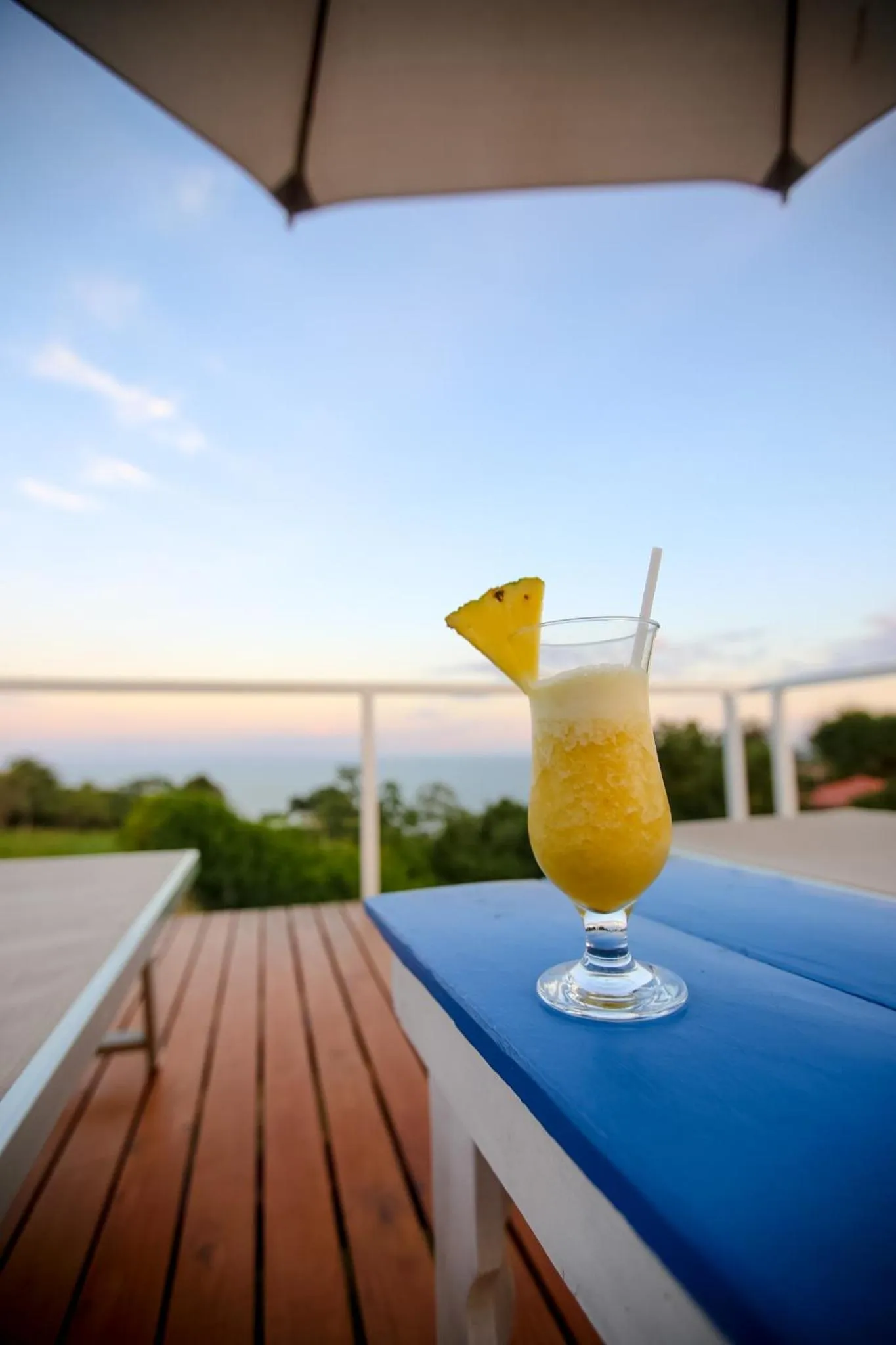 Un cocktail exotique est servi sur une terrasse avec vue sur la mer.