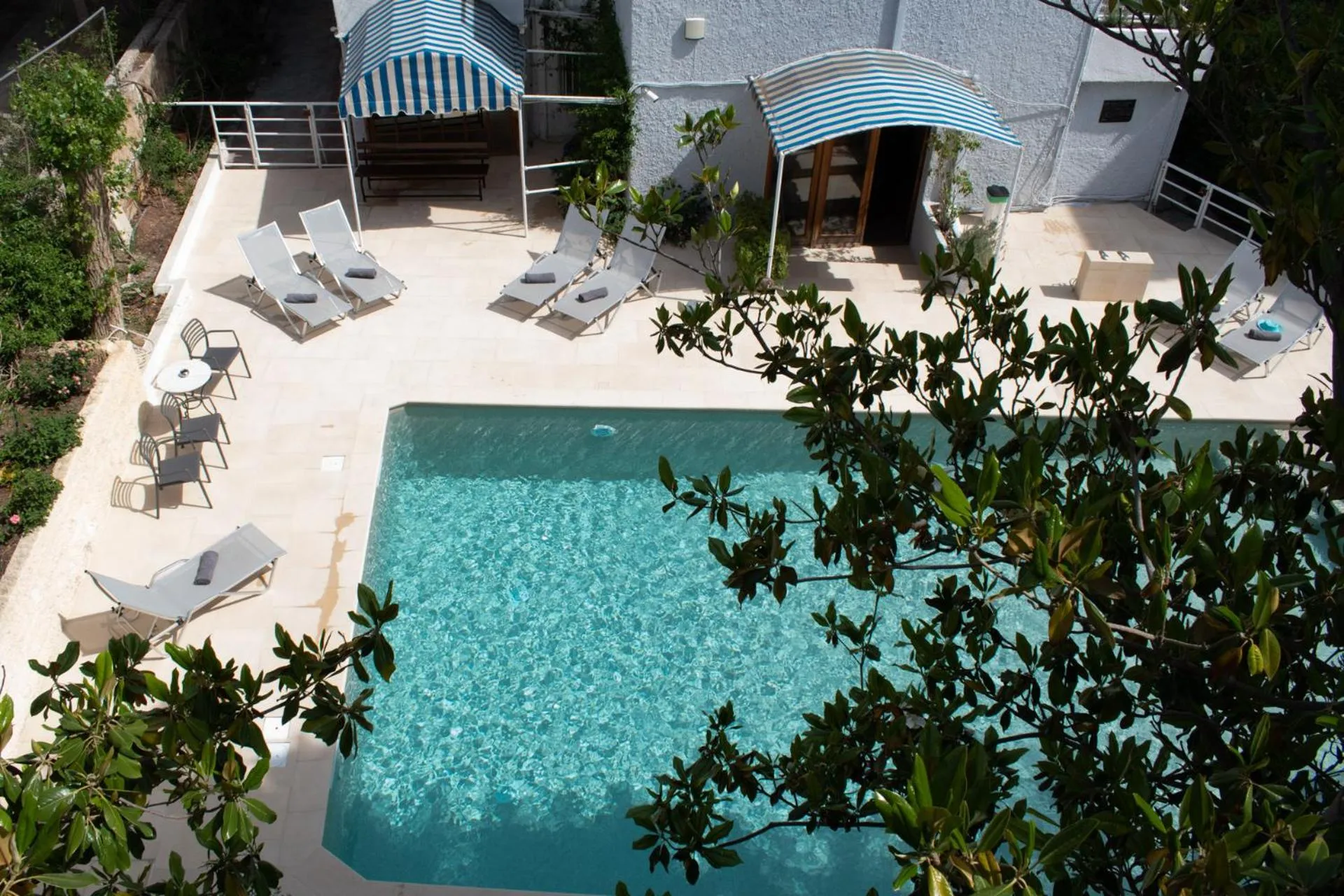 Transats et parasols disposés autour d'une piscine rectangulaire turquoise.