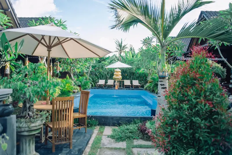 Une piscine rectangulaire entourée de végétation luxuriante et de chaises longues.