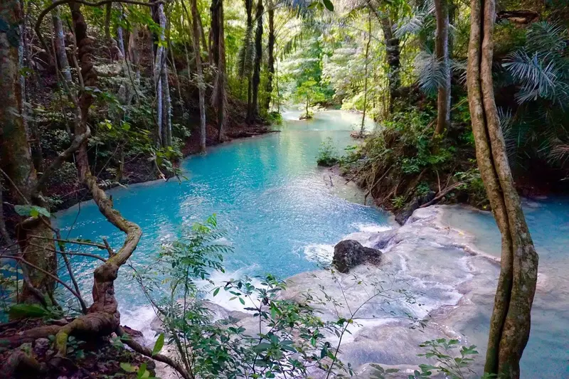 Une rivière turquoise serpente à travers une végétation luxuriante.