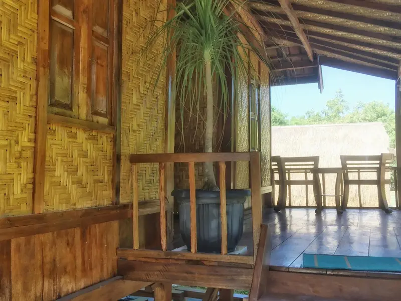 Terrasse en bois avec rambarde en bambou et plante en pot.