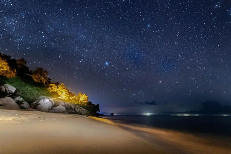 Ciel étoilé au-dessus d'une plage de sable clair bordée de végétation sombre.