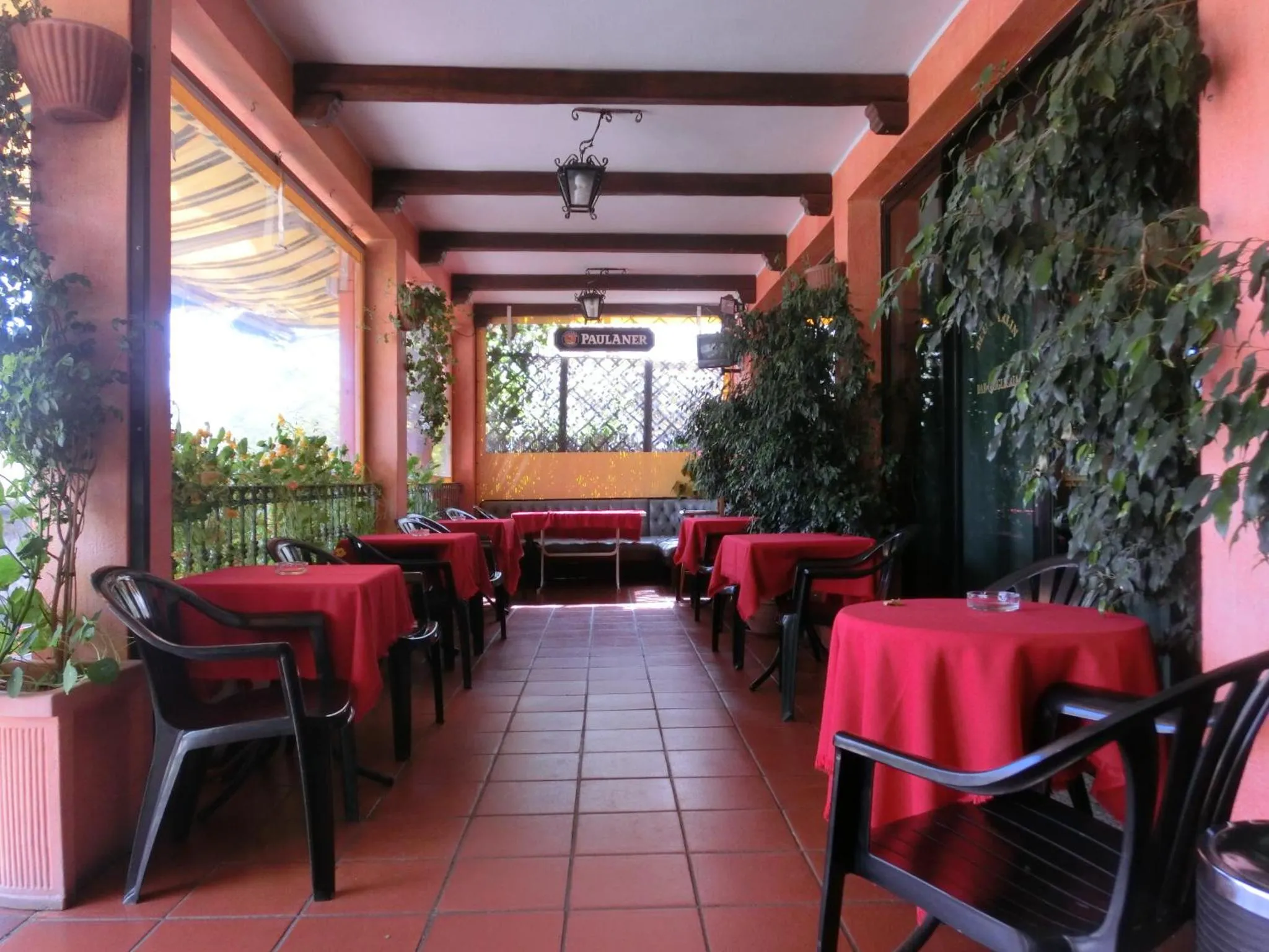 Terrasse ombragée avec tables et chaises rouges, décorée de plantes.