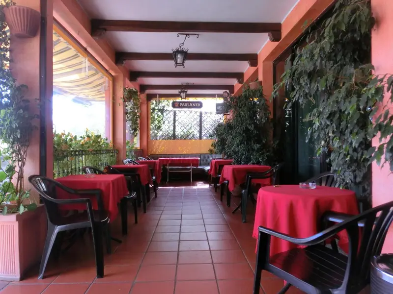 Terrasse ombragée avec tables et chaises rouges, décorée de plantes.