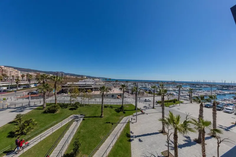 Vue d'ensemble d'un port de plaisance avec des palmiers et une promenade.