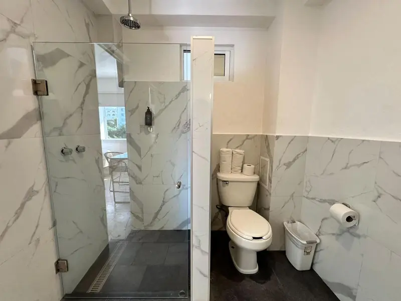 Une salle de bain moderne avec douche à l'italienne et toilettes.