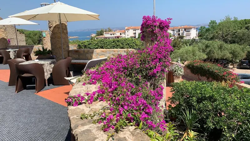 Terrasse fleurie avec tables et chaises donnant sur la mer et un village.
