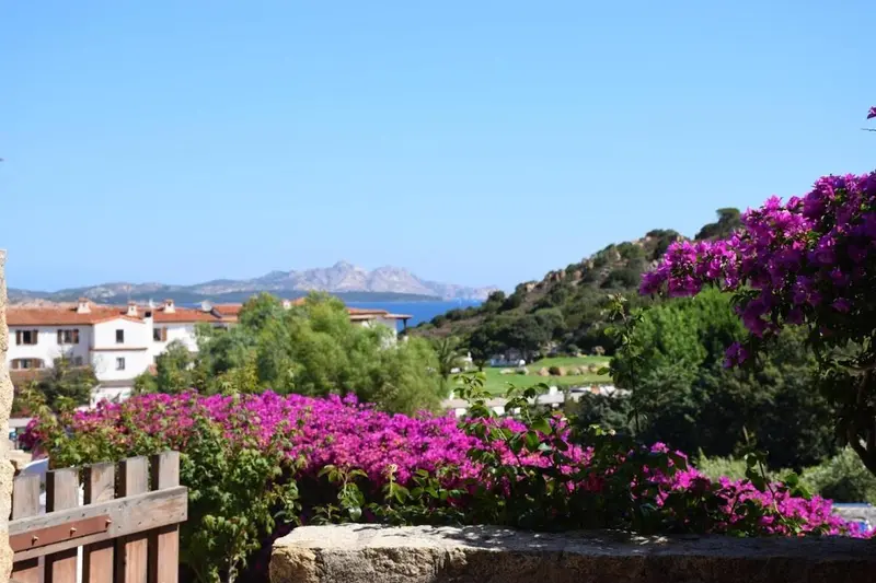 Vue sur un village côtier et des montagnes verdoyantes, encadrée de fleurs pourpres.