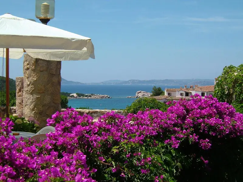 Vue sur la mer depuis une terrasse fleurie.