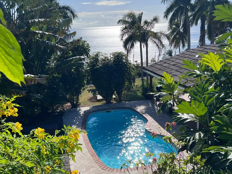 Une piscine rectangulaire entourée de végétation luxuriante avec vue sur la mer scintillante.