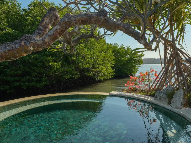 Une piscine a debordement offre une vue sur la vegetation luxuriante et la mer.