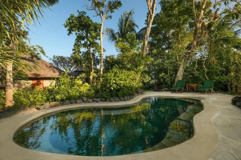 Une piscine bordée de végétation luxuriante avec des chaises longues.
